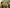 Promotion banner