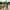 Sportneer Weighted Vest
