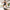 Sportneer Matte Balance Boards